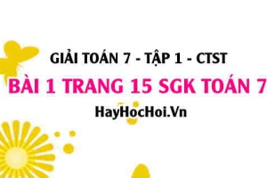 Giải bài 1 trang 15 Toán 7 Tập 1 SGK Chân trời sáng tạo
